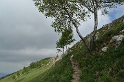 35 In decisa salita